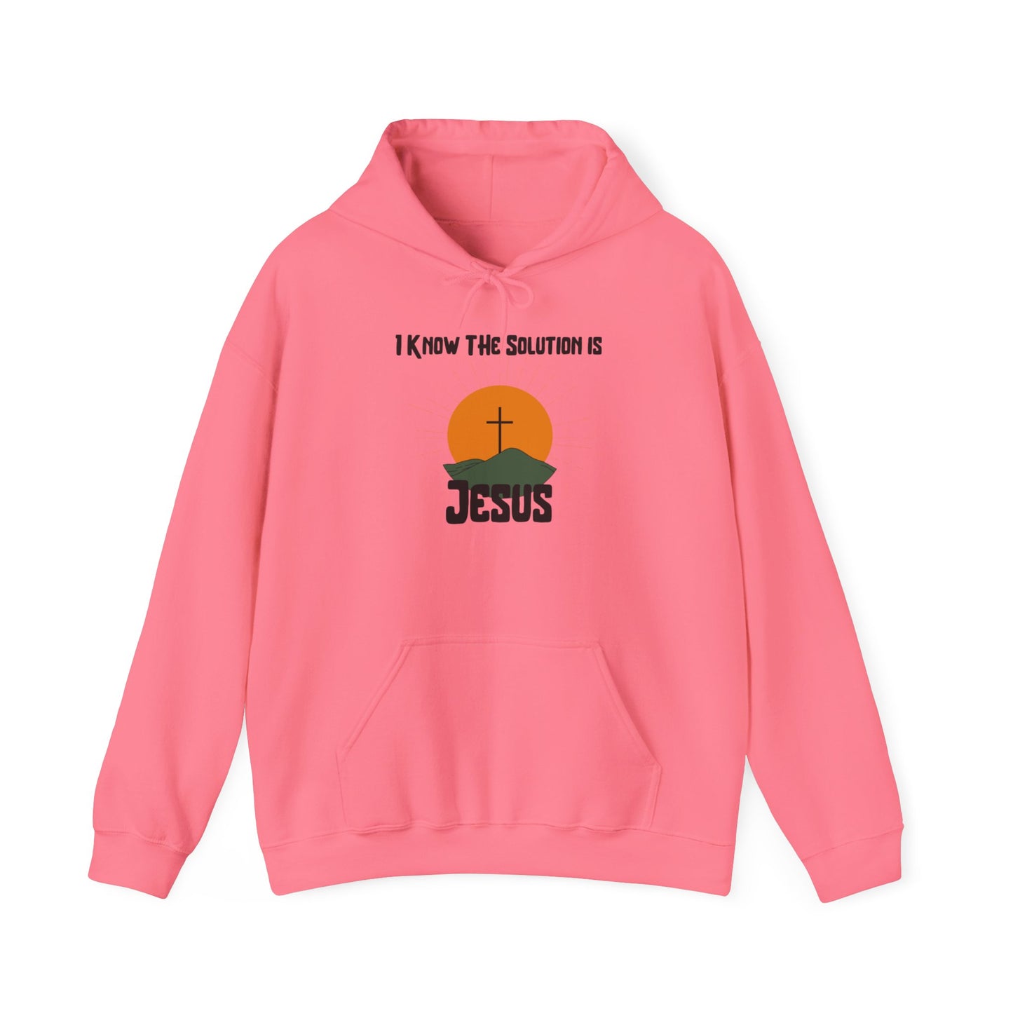 I Know the Solution Unisex Hooded Sweatshirt