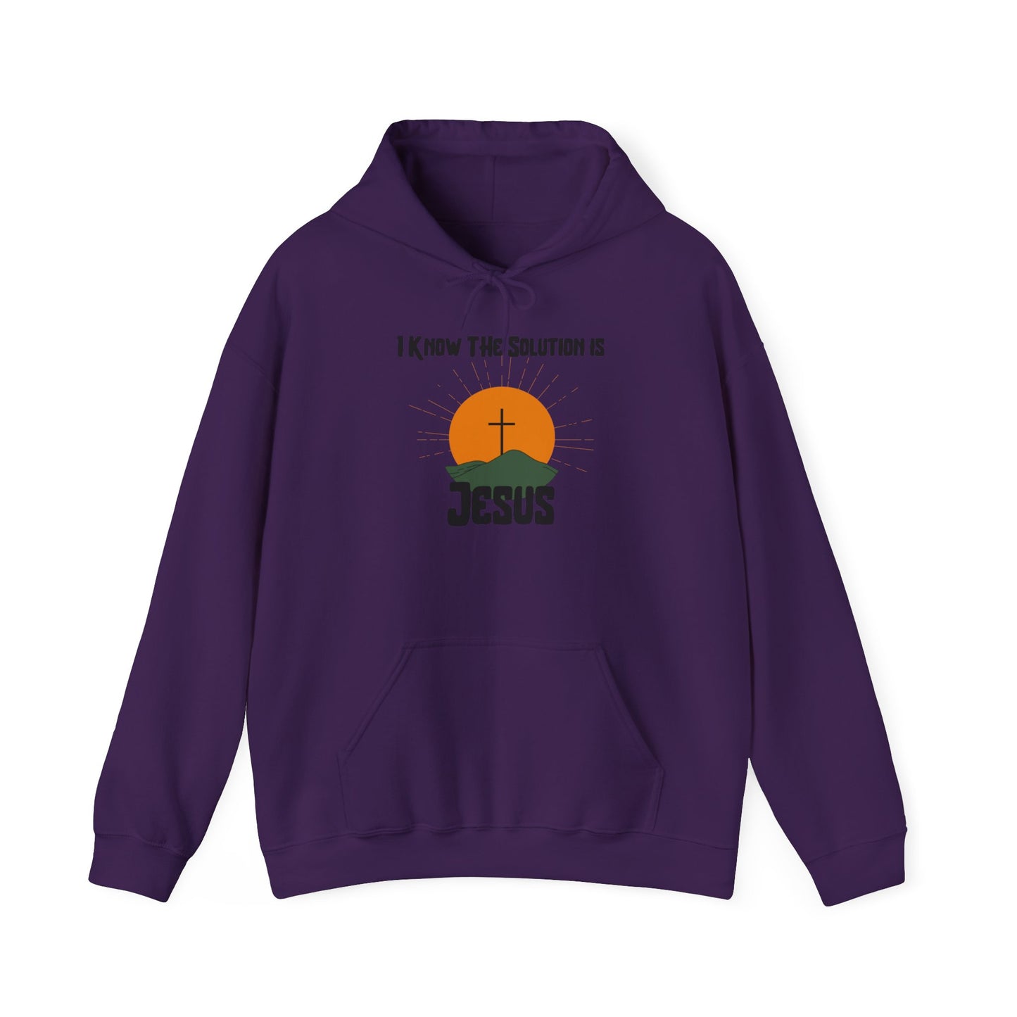 I Know the Solution Unisex Hooded Sweatshirt